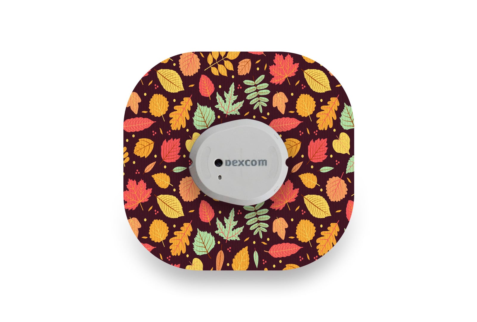 Autumn Vibes Patch for Dexcom G7 / One+ diabetes CGMs and insulin pumps