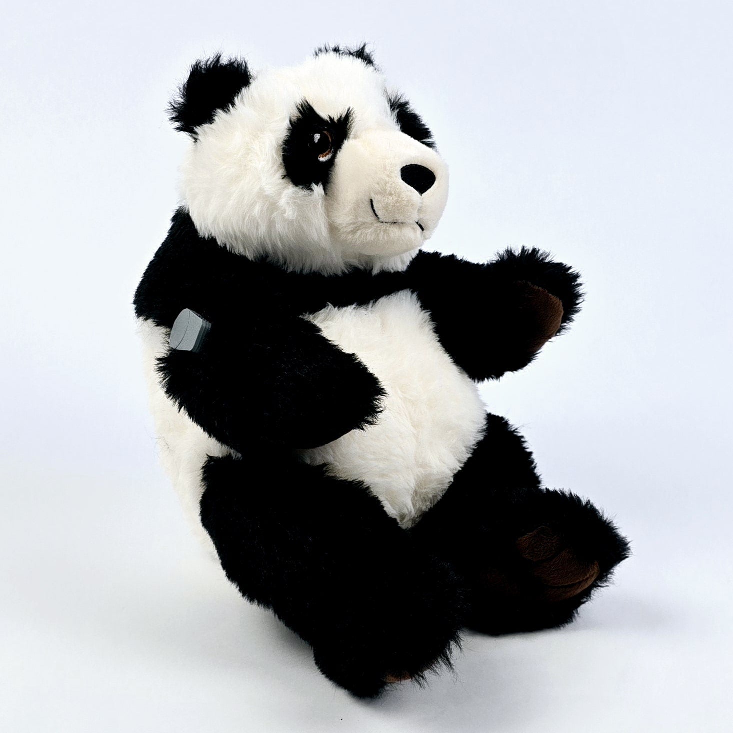 Paws the Panda for Freestyle Libre 2 diabetes supplies and insulin pumps